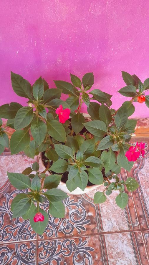 Hostel Loli Puerto Iguazu Luaran gambar